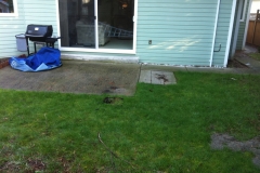 Beechwood St Backyard Renovation