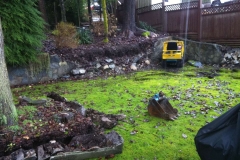 Henry St Retaining Walls