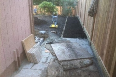 BackYardDuring