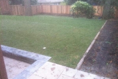 NewBackYard1