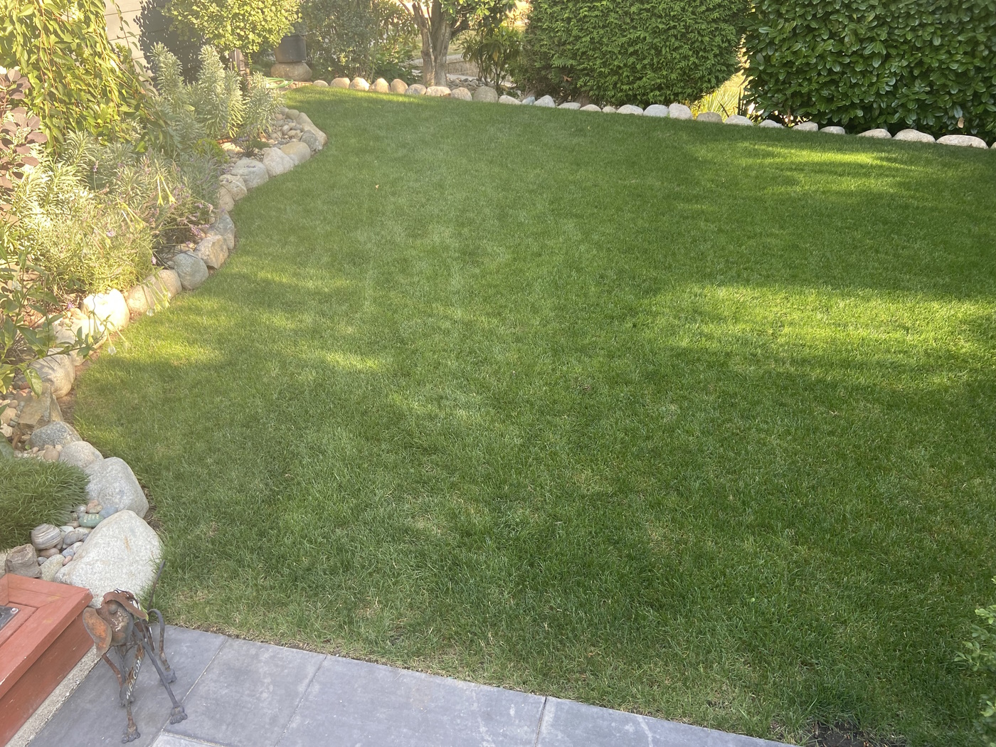 Act Now to Address Chafer Beetle Damage